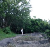 Walking trail at Trinity Beach