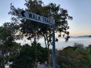 51983603_808626392807900_741451792130244608_n