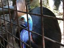 52845331_984759241723568_3685295103489867776_n