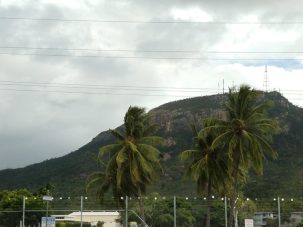 58916985_418696368687444_889543634590892032_n