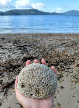 59339684_432784597288475_8788107703047159808_n