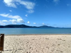 59635008_630573217355901_3964395796509491200_n